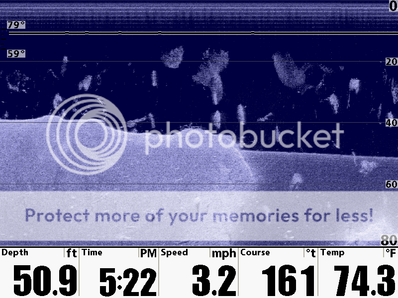 Down imaging vs. Side imaging